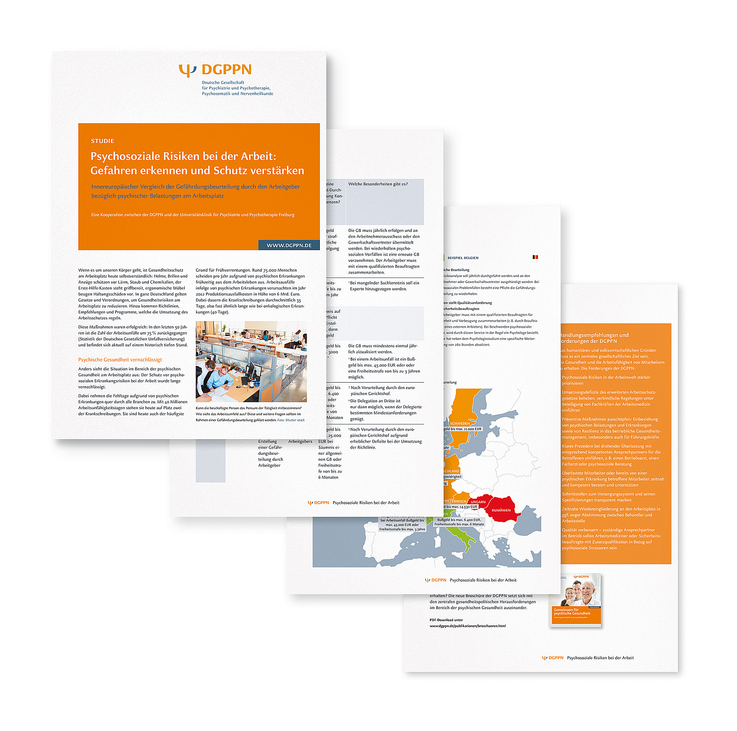Das Bild zeigt ein Factsheet zu einer Studie der DGPPN (für die Deutsche Gesellschaft für Psychiatrie und Psychotherapie, Psychosomatik und Nervenheilkunde (DGPPN), 2014) (© Papenfuss | Atelier)