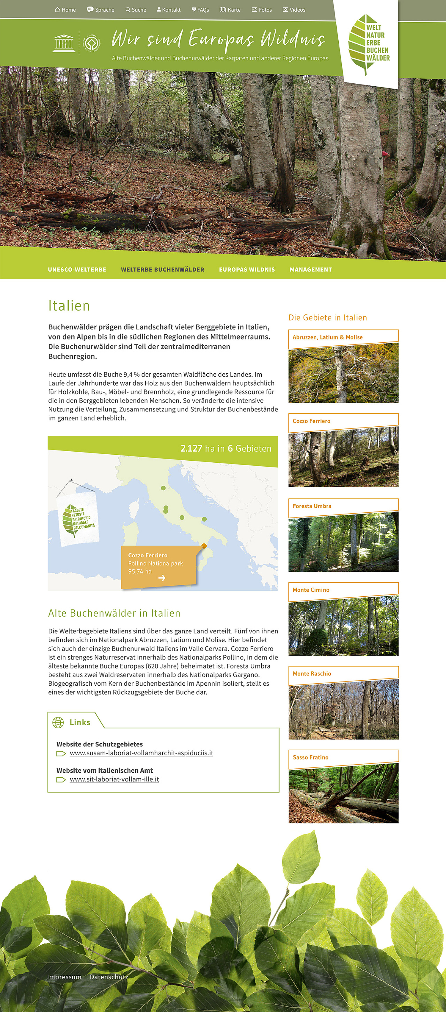 UNESCO Weltnaturerbe Alte Buchenwälder Webdesign Länderpräsentation Jedes Land der Welterbestätte wird übersichtlich präsentiert. Über Teaserboxen gelangt man zu den Steckbriefen der einzelnen Teilgebiete. Links führen zu weiteren, interessanten Informationen. (© Papenfuss | Atelier)