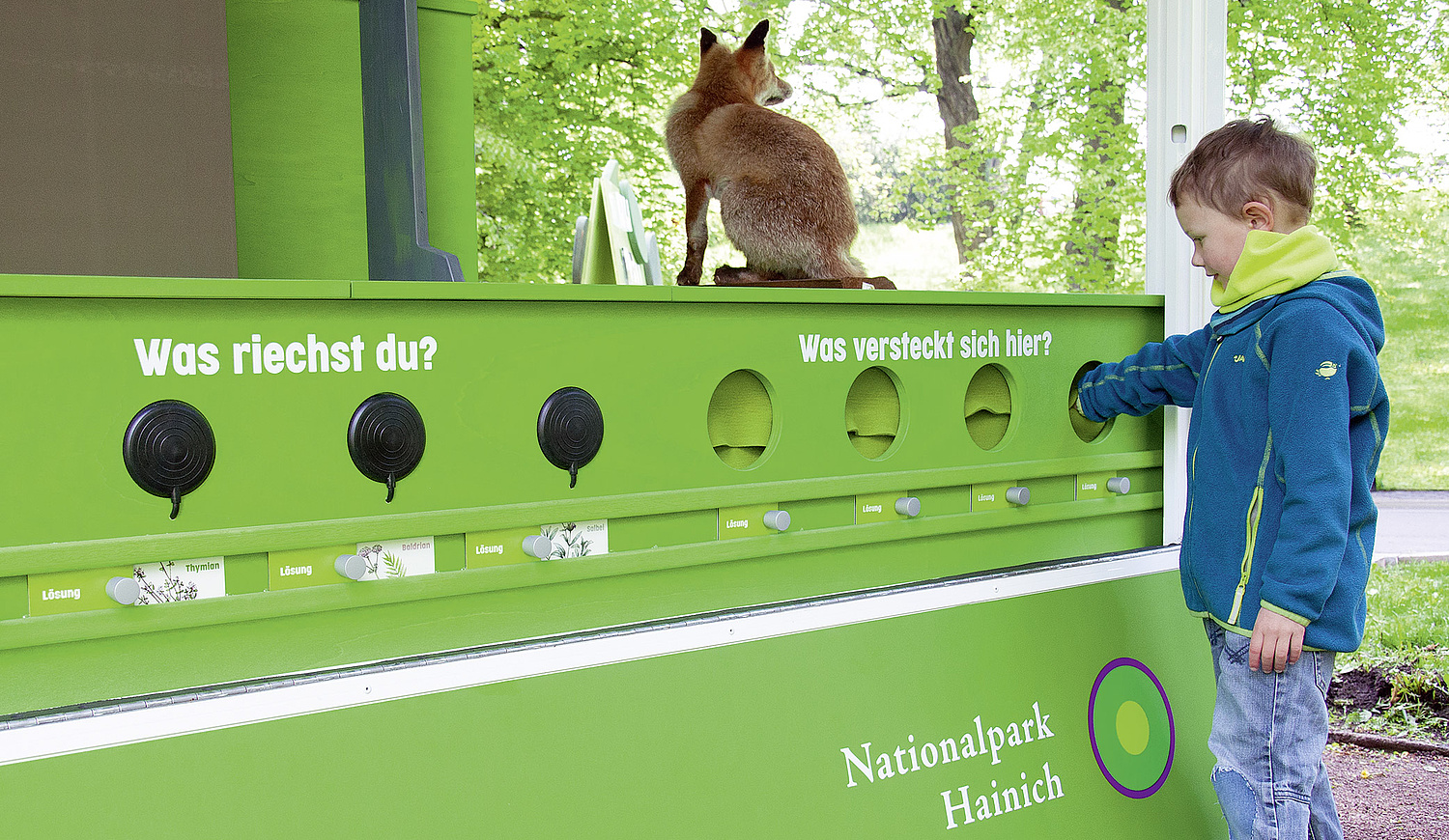 Riechen & Fühlen: In Fühlboxen können Muschelkalk, Buchenrinde, Baumpilz und Tierknochen erfühlt und bei der Riechstation Gerüche erraten werden. Mit Druck auf die Öffnung werden Bärlauch-, Thymian-, Baldrian- und Salbeiduft versprüht. (© Papenfuss | Atelier)