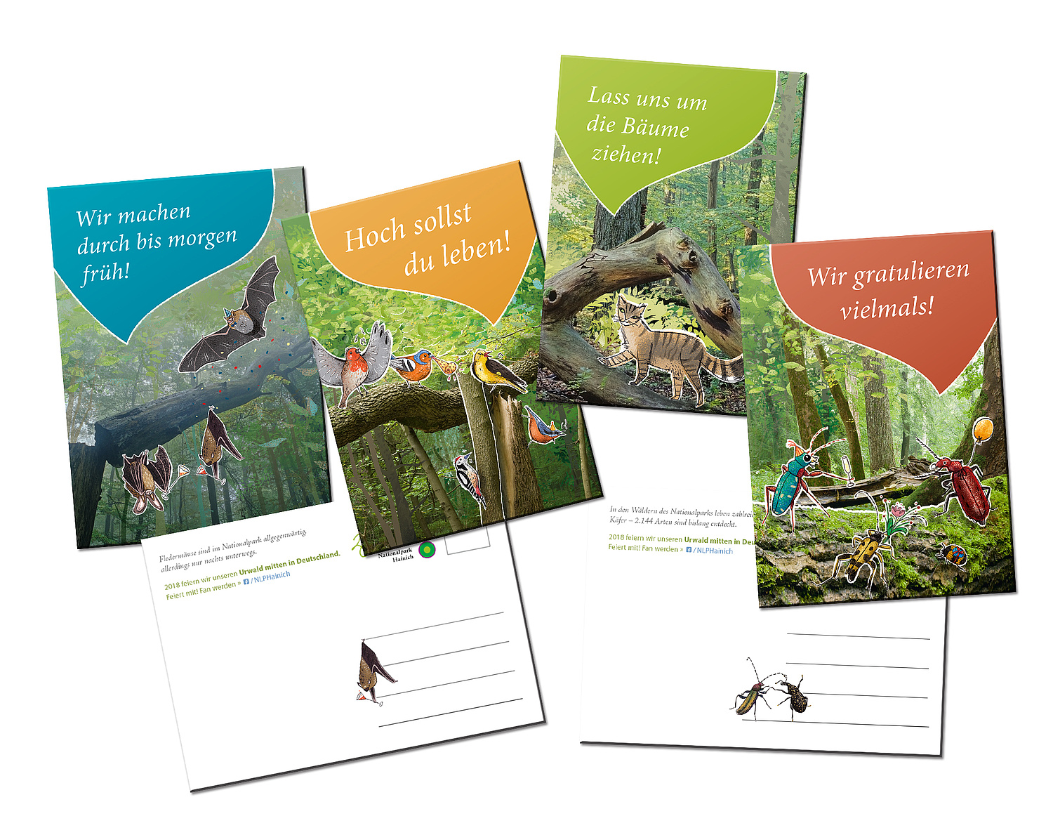 CityCards zur Kampagne 20 Jahre Nationalpark Hainich Das Bild zeigt die Vorderseiten der CityCards zur Kampagne mit den Motiven "Fledermaus", "Vögel", "Wildkatze" und "Käfer" sowie zwei Beispiele zu den Rückseiten mit Adress- und Textfeld. (© Papenfuss | Atelier)