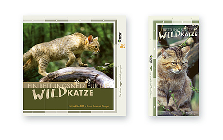 Das Bild zeigt Broschüre und Flyer zum "Rettungsnetz Wildkatze" (für BUND, 2005).