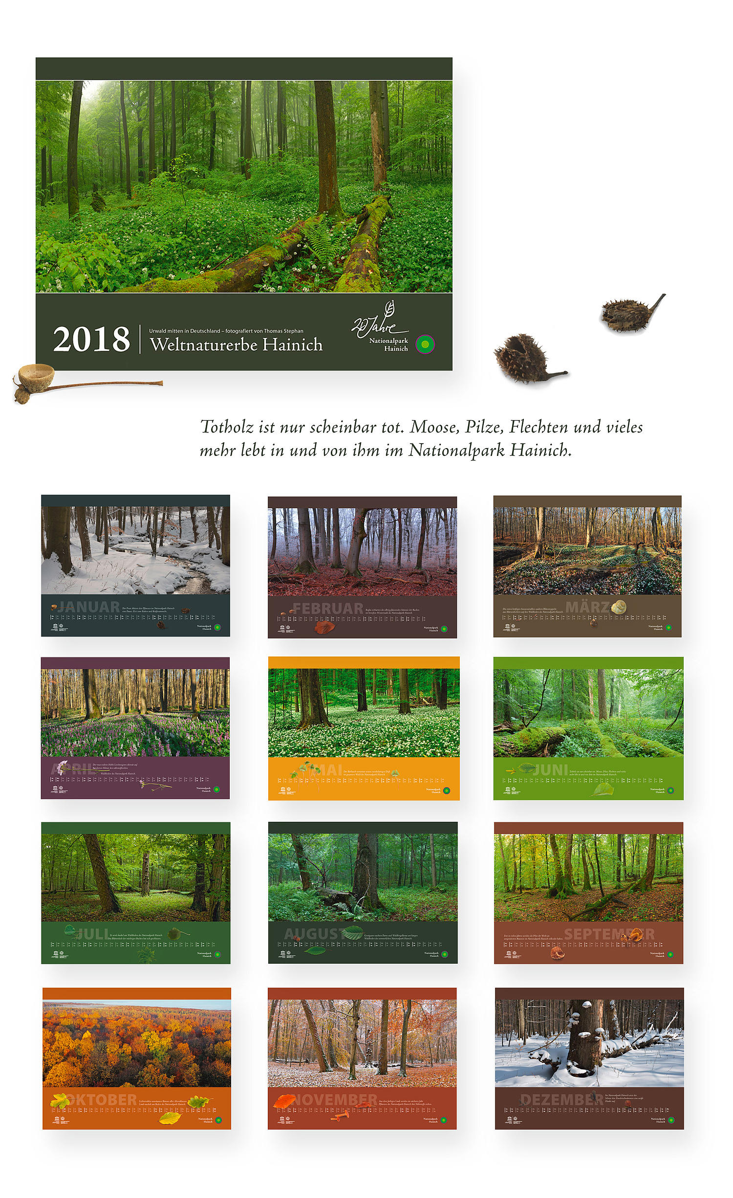 Der Jubiläumskalender "20 Jahre Nationalpark Hainich" hat das Großformat 60 x 45 cm. (© Papenfuss | Atelier)