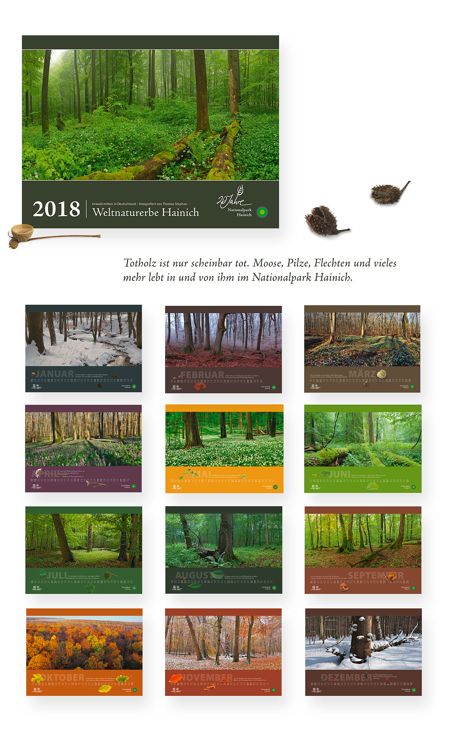 Jubiläumskalender "20 Jahre Nationalpark Hainich" Der Jubiläumskalender "20 Jahre Nationalpark Hainich" hat das Großformat 60 x 45 cm. (© Papenfuss | Atelier)