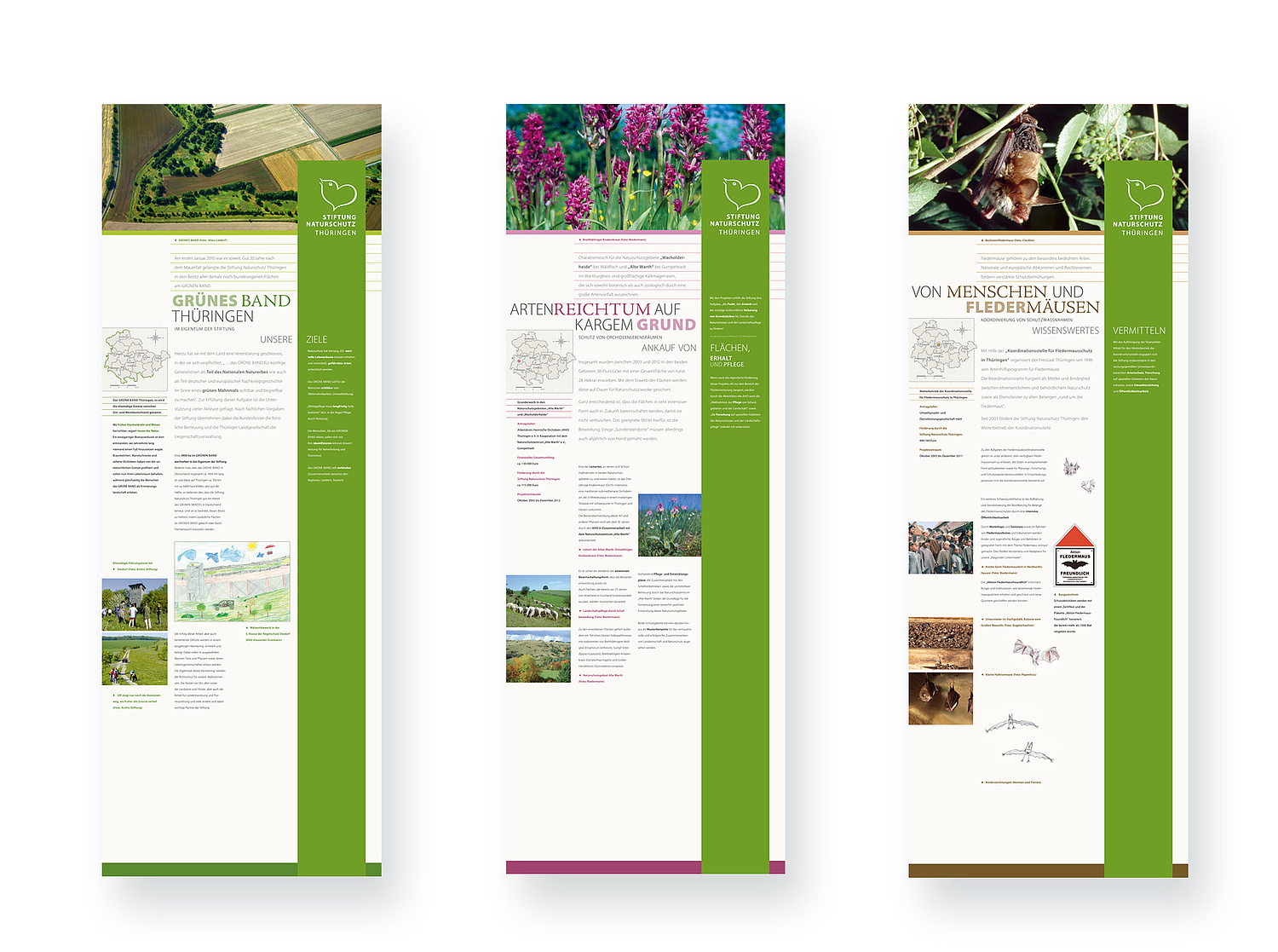 Bildtafeln Wanderausstellung Stiftung Naturschutz Thüringen Das Bild zeigt drei ausgewählte Bildtafeln der Ausstellung (für Stiftung Naturschutz Thüringen, 2005). (© Papenfuss | Atelier)