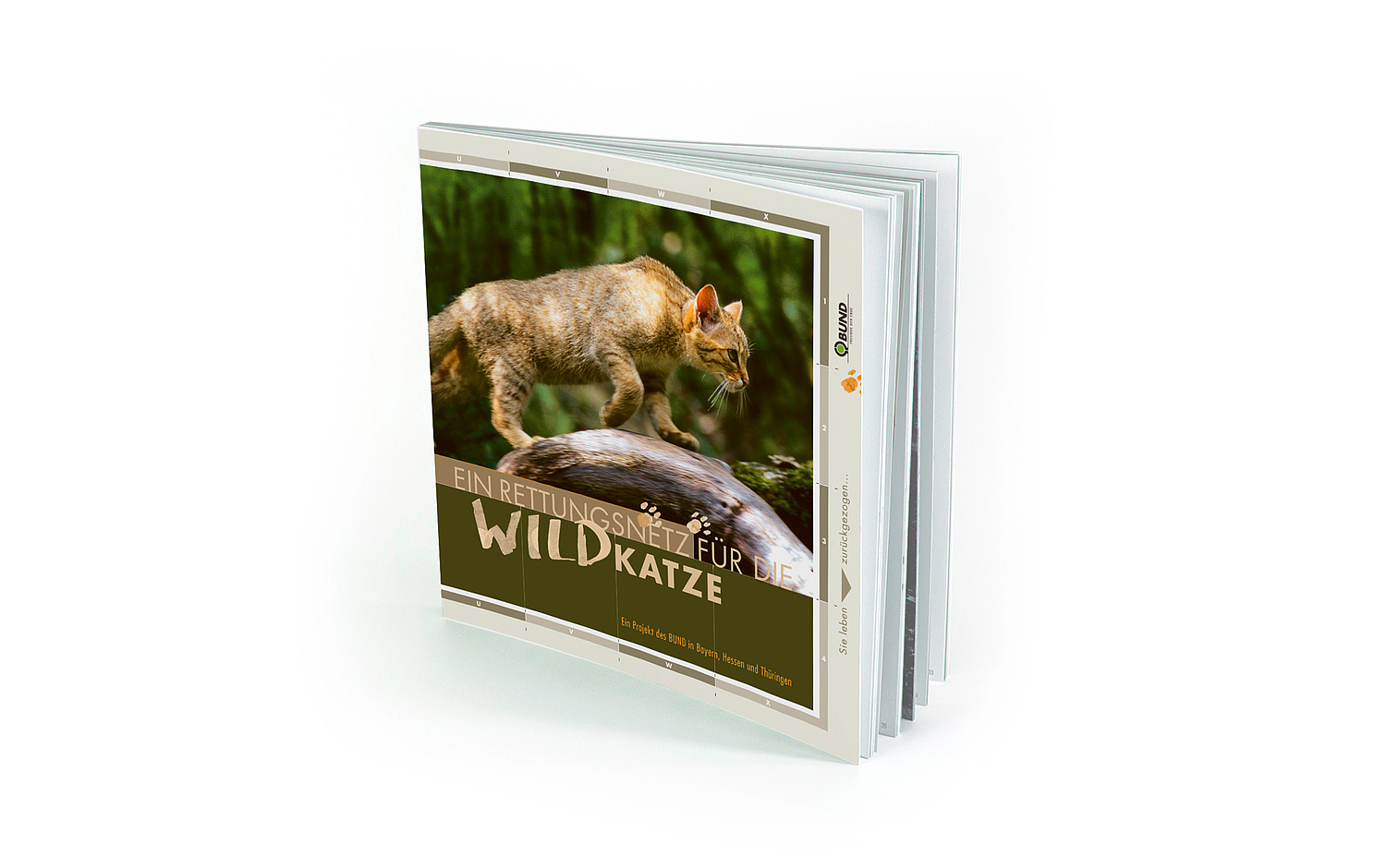 Das Bild zeigt die Broschüre zum "Rettungsnetz Wildkatze" (für BUND, 2005). (© Papenfuss | Atelier)