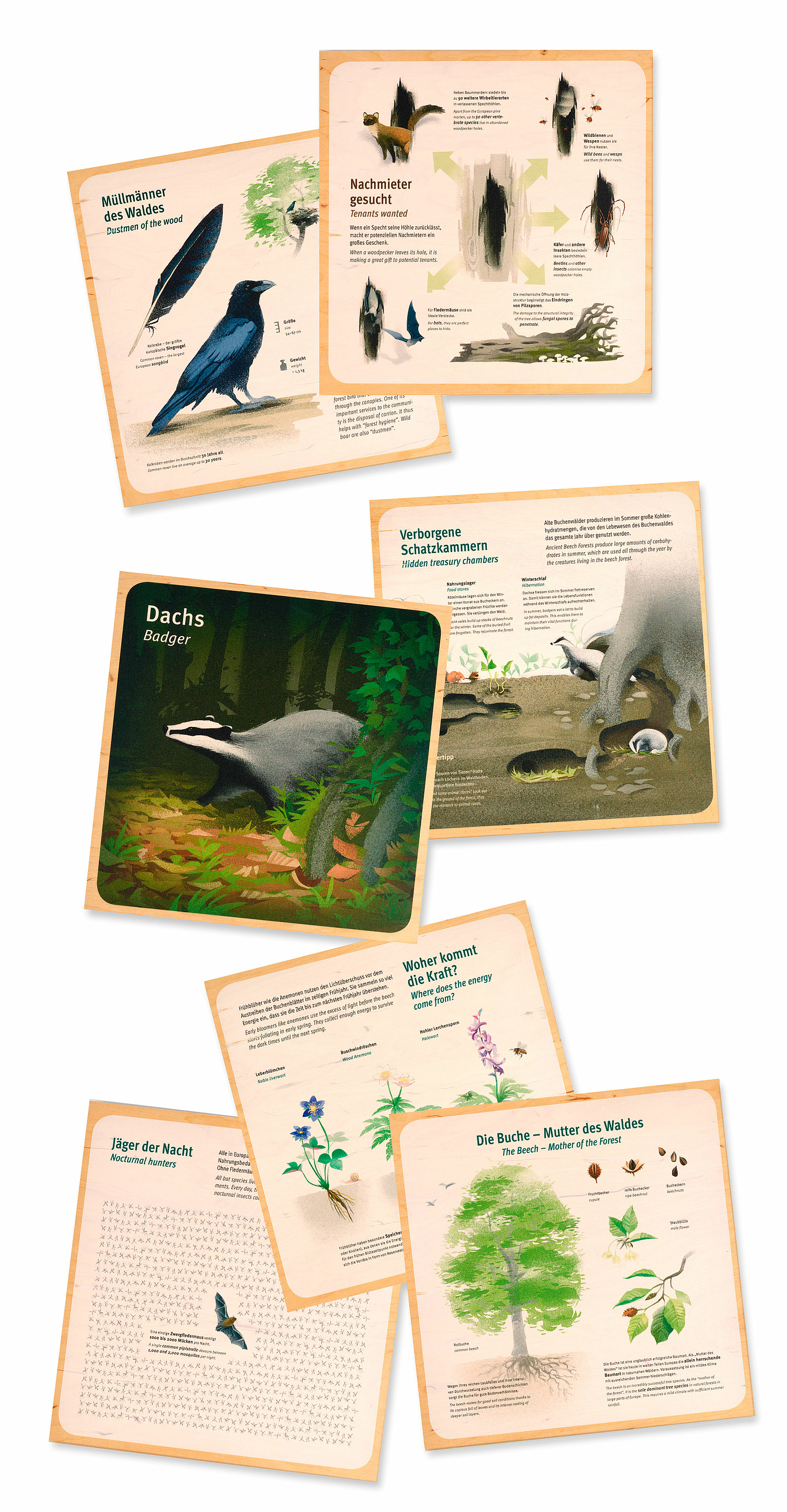 Das Bild zeigt eine Auswahl von Informationenstafeln, die weiterführende Informationen zu den auf dem großen Wimmelbild dargestellten Arten und Prozessen enthalten. (© Papenfuss | Atelier)