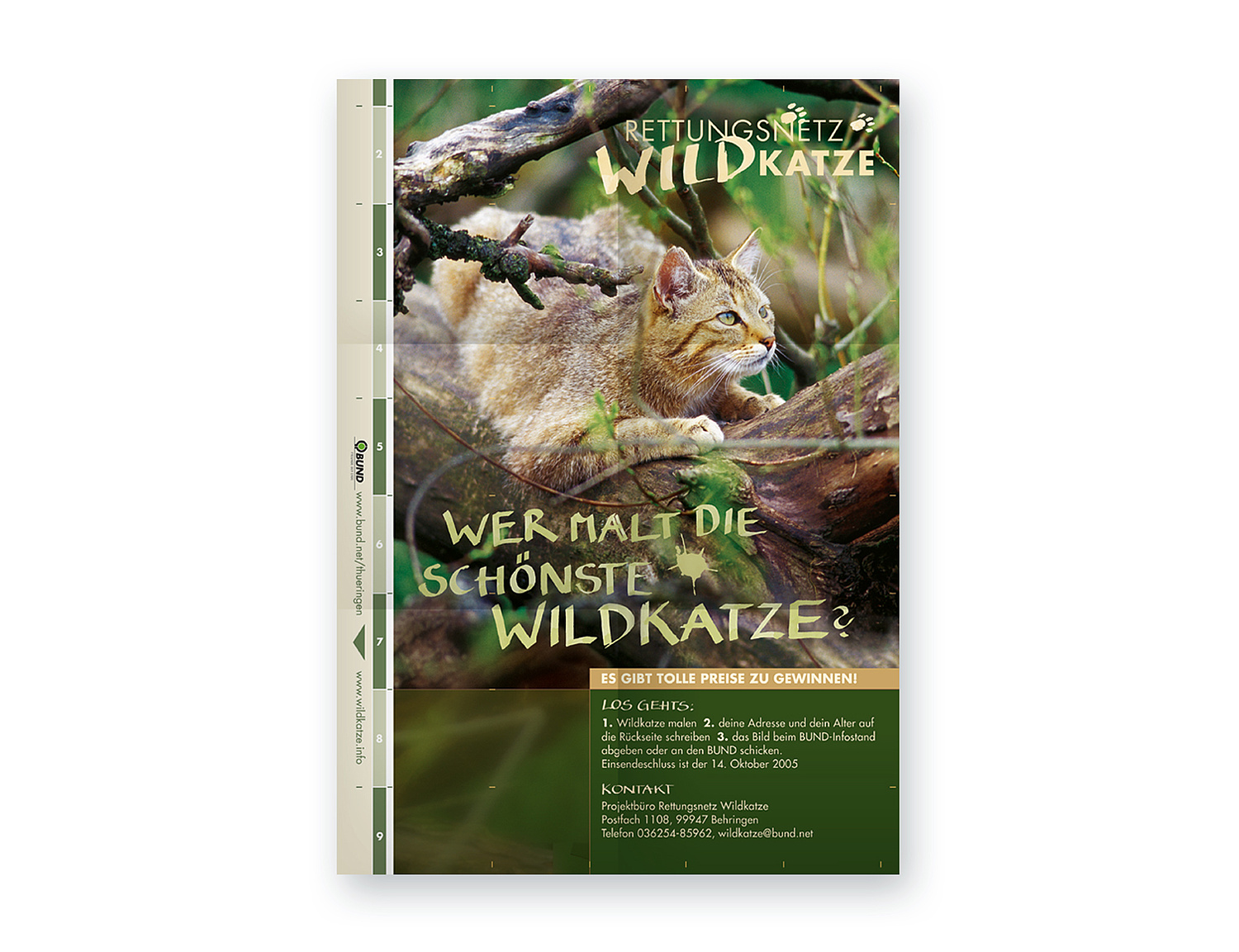 Das Bild zeigt das Plakat zum "Rettungsnetz Wildkatze" (für BUND, 2005). (© Papenfuss | Atelier)