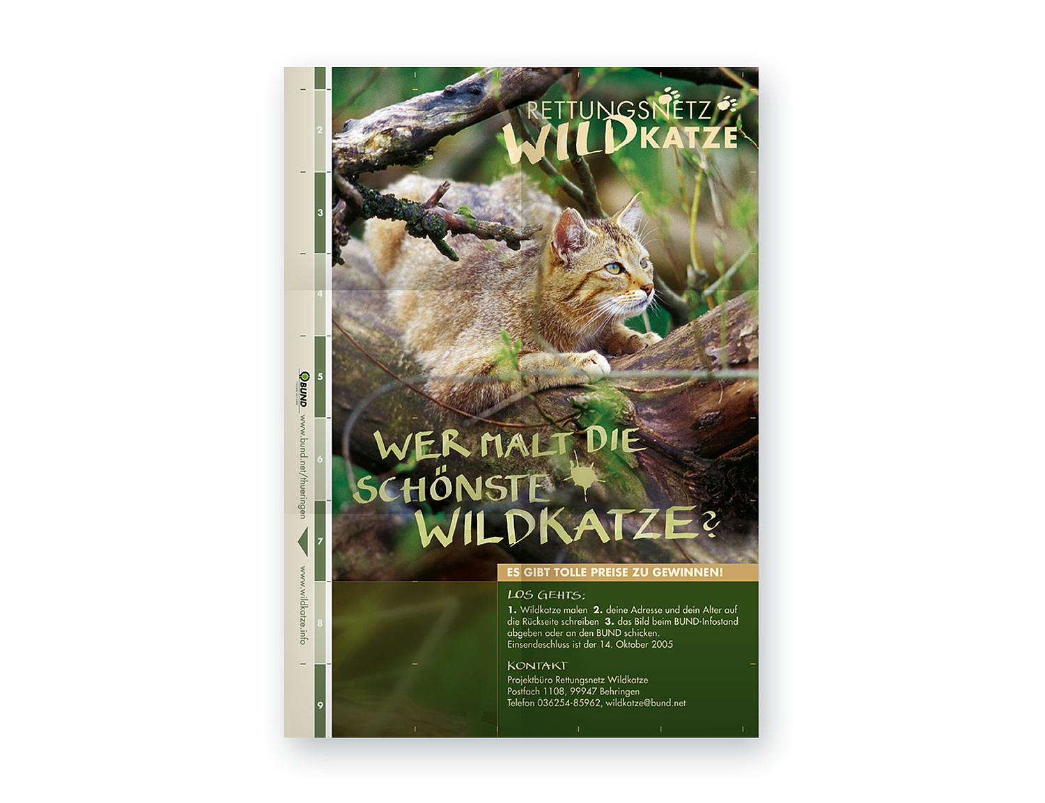 Plakat Rettungsnetz Wildkatze Das Bild zeigt das Plakat zum "Rettungsnetz Wildkatze" (für BUND, 2005). (© Papenfuss | Atelier)